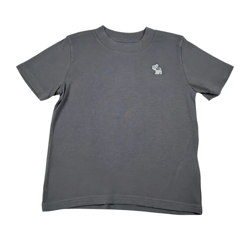 Abercrombie Kids T-Shirt tinta unita con Stampa Grigio per Bambino