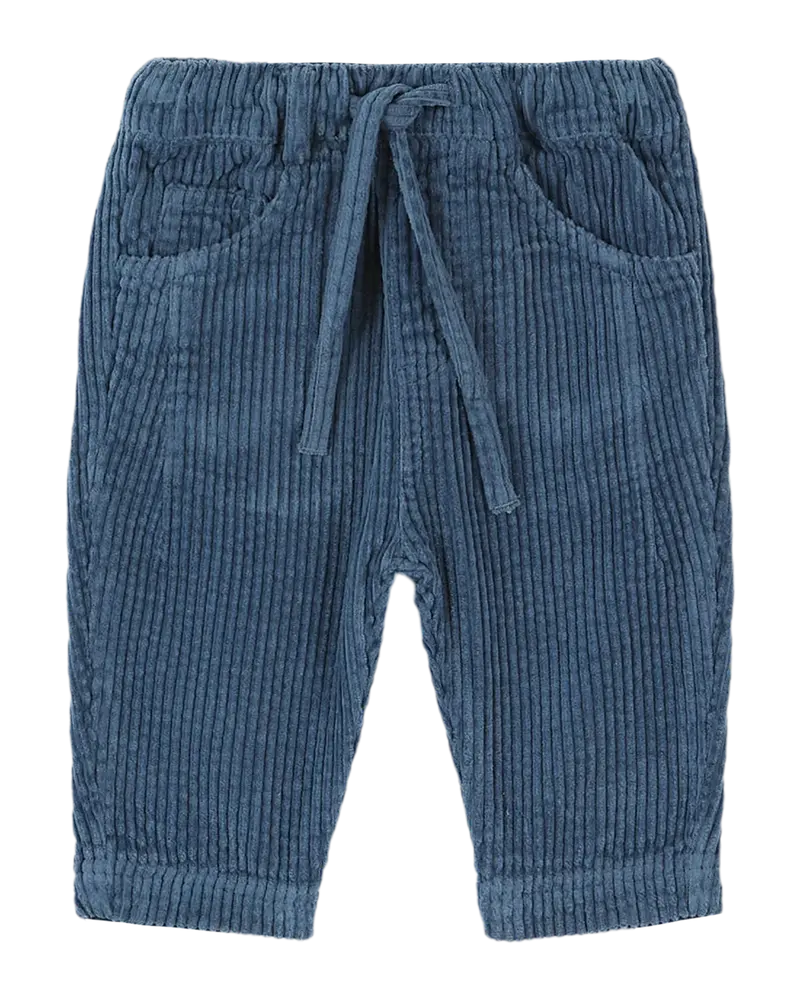 Blue velvet pants