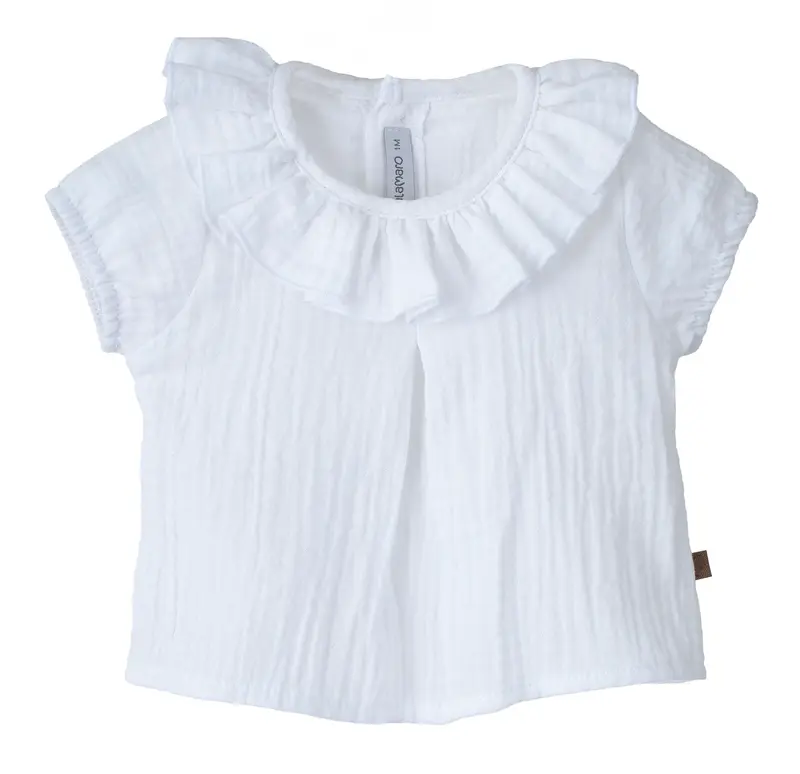 Calamaro Camicia