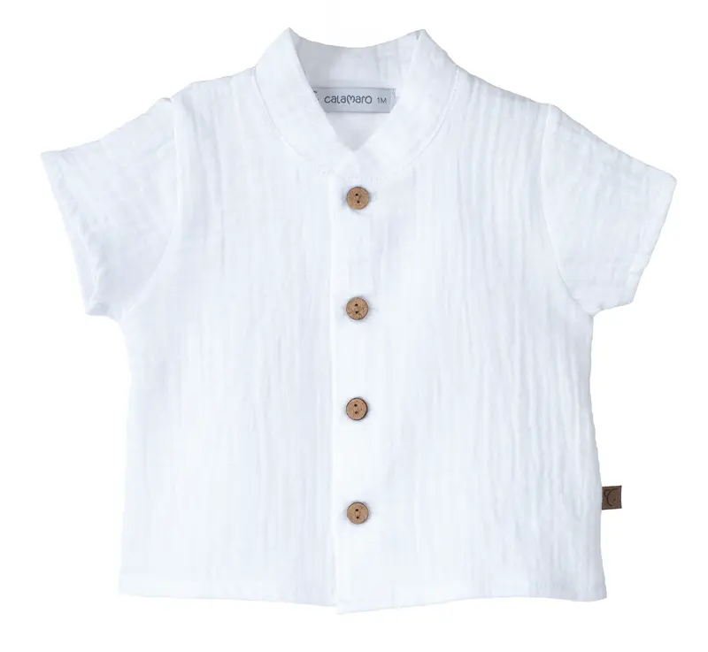 Calamaro Camicia