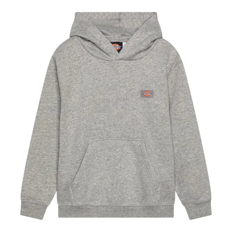 Dickies Felpa Chiusa con Cappuccio tinta unita Grigio per Bambino