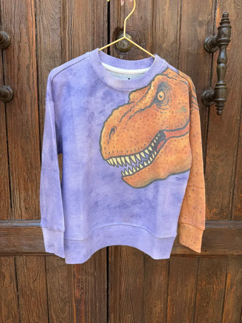 Felpa Dino