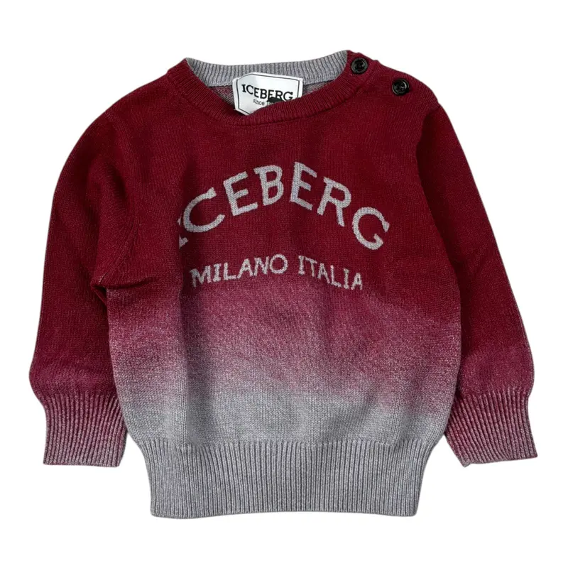 Iceberg Maglia Bicolore con Stampa Bordeaux per Neonato