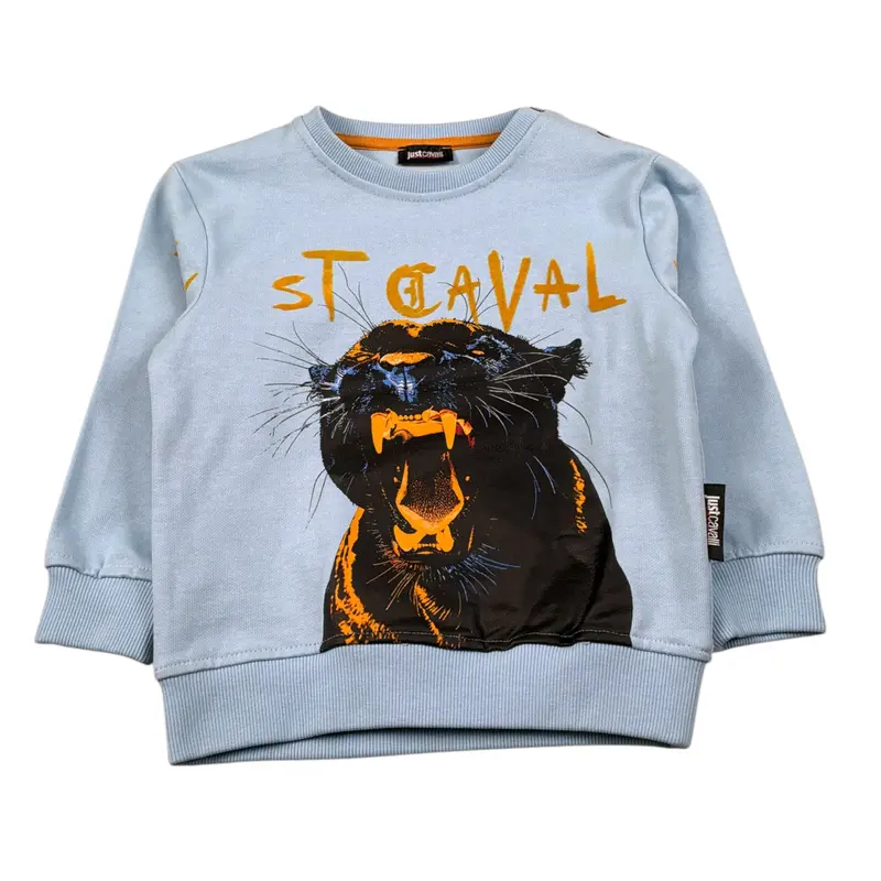 Just Cavalli Felpe Chiusa Girocollo tinta unita Azzurro per Neonato