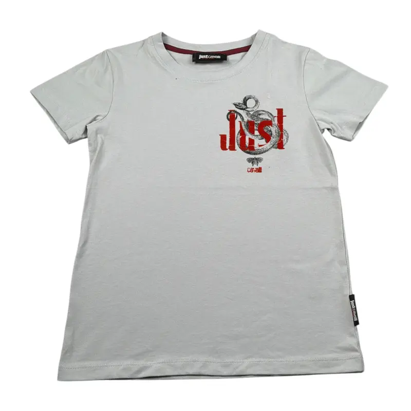 Just Cavalli T-Shirt Girocollo tinta unita con Logo Grigio per Bambino