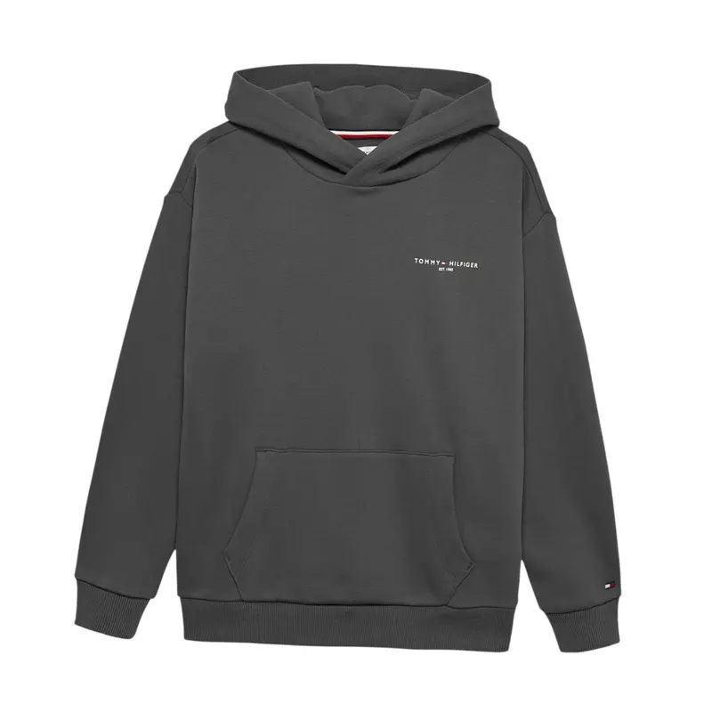 Tommy Hilfiger Felpa Chiusa con Cappuccio tinta unita Grigio per Bambino