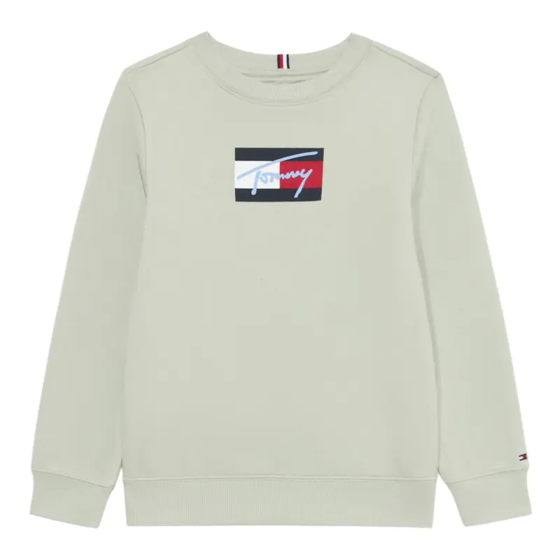 Tommy Hilfiger Felpa tinta unita Girocollo con Stampa Verde per Bambino